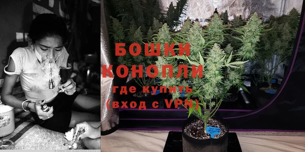 гидра Струнино
