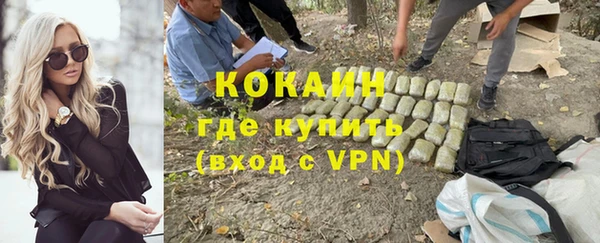 гидра Струнино