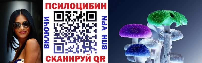 Псилоцибиновые грибы Psilocybine cubensis  Кирово-Чепецк 